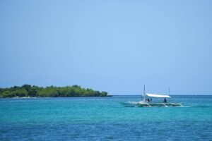 Groene rivier die door dichte jungle stroomt in de Visayas in de Filipijnen