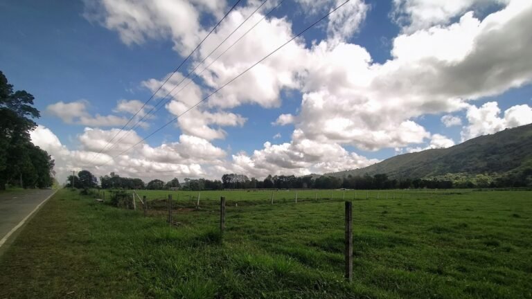 Groene velden langs een weg in Bukidnon.