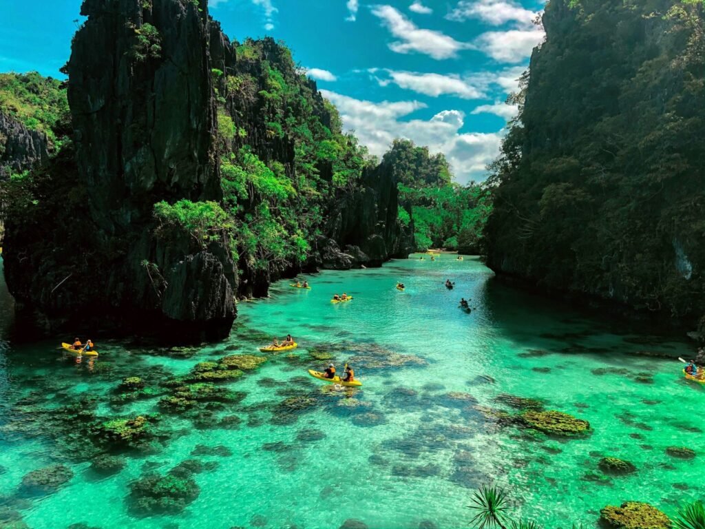 Palawan Essential