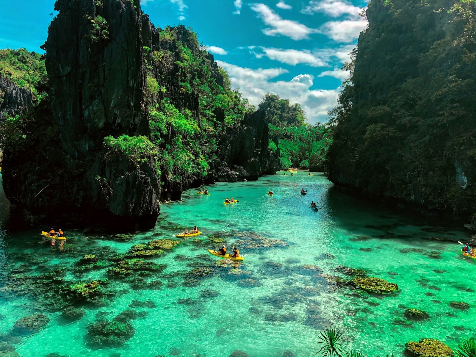Palawan Essential