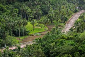 Tropische weg omringd door palmbomen en groene natuur op Siargao.