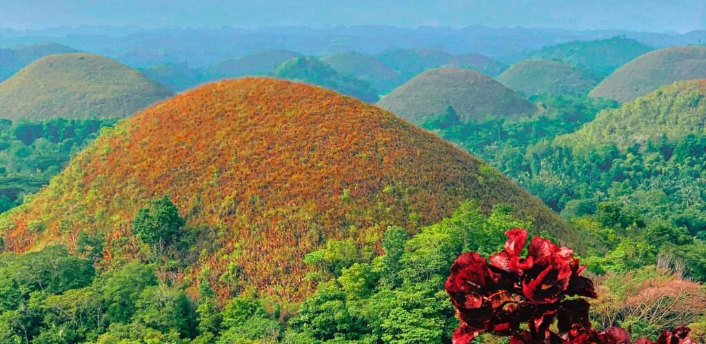 Chocolate Hills in Bohol, Philippines during dry season landscape