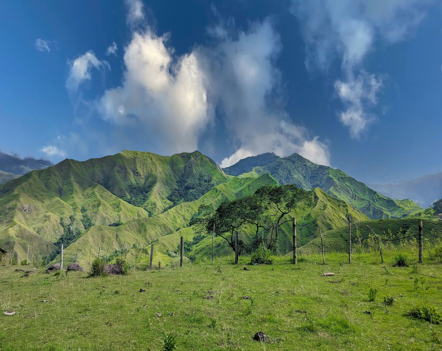 Hoofdafbeelding voor Bukidnon Essential