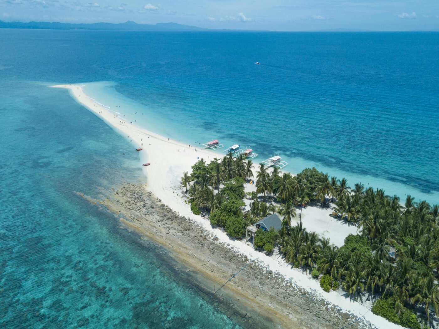 Camotes Essential